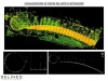 LAVORI LASER SCANNER 3D [modalità compatibilità]